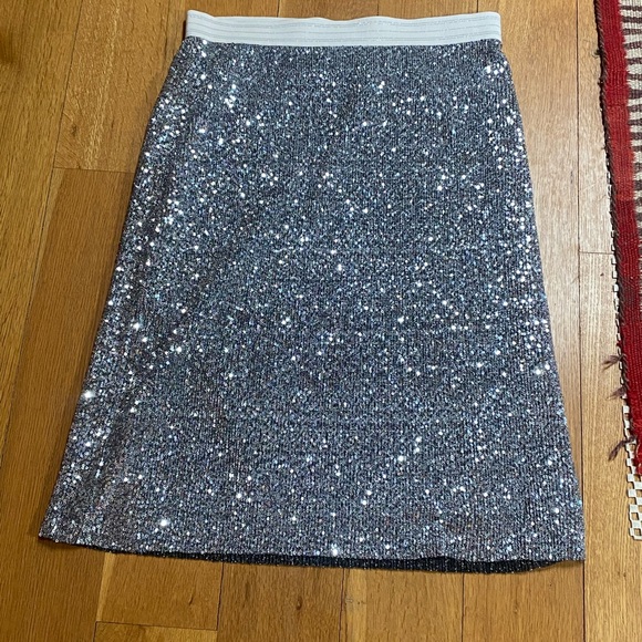 Zara Dresses & Skirts - COPY - - Sexy Silver sequin pencil skirt.  Zara size L